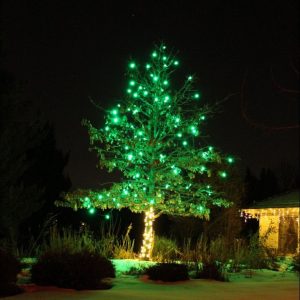 Holiday Lighting Service in Parker, CO | Vue