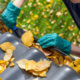 Gutter Cleaning Questions Parker, Colorado