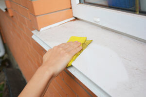 Homemade Window Cleaners: Household Items To Use And If They Work