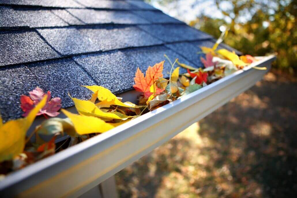 5 Common Gutter Cleaning Questions