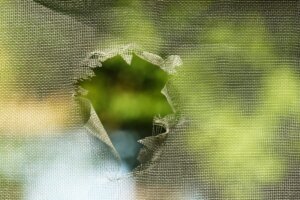 4 Signs You Need To Repair Or Replace Your Window Screens 4 Signs You Need To Repair Or Replace Your Window Screens