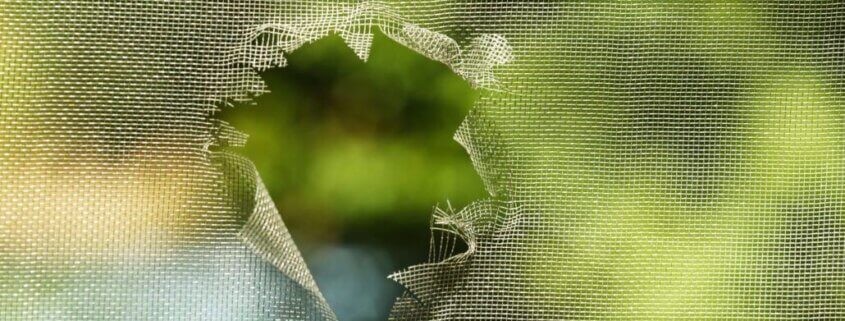 4 Signs You Need To Repair Or Replace Your Window Screens