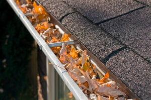 6 Signs You Need To Get Your Gutters Cleaned This Fall
