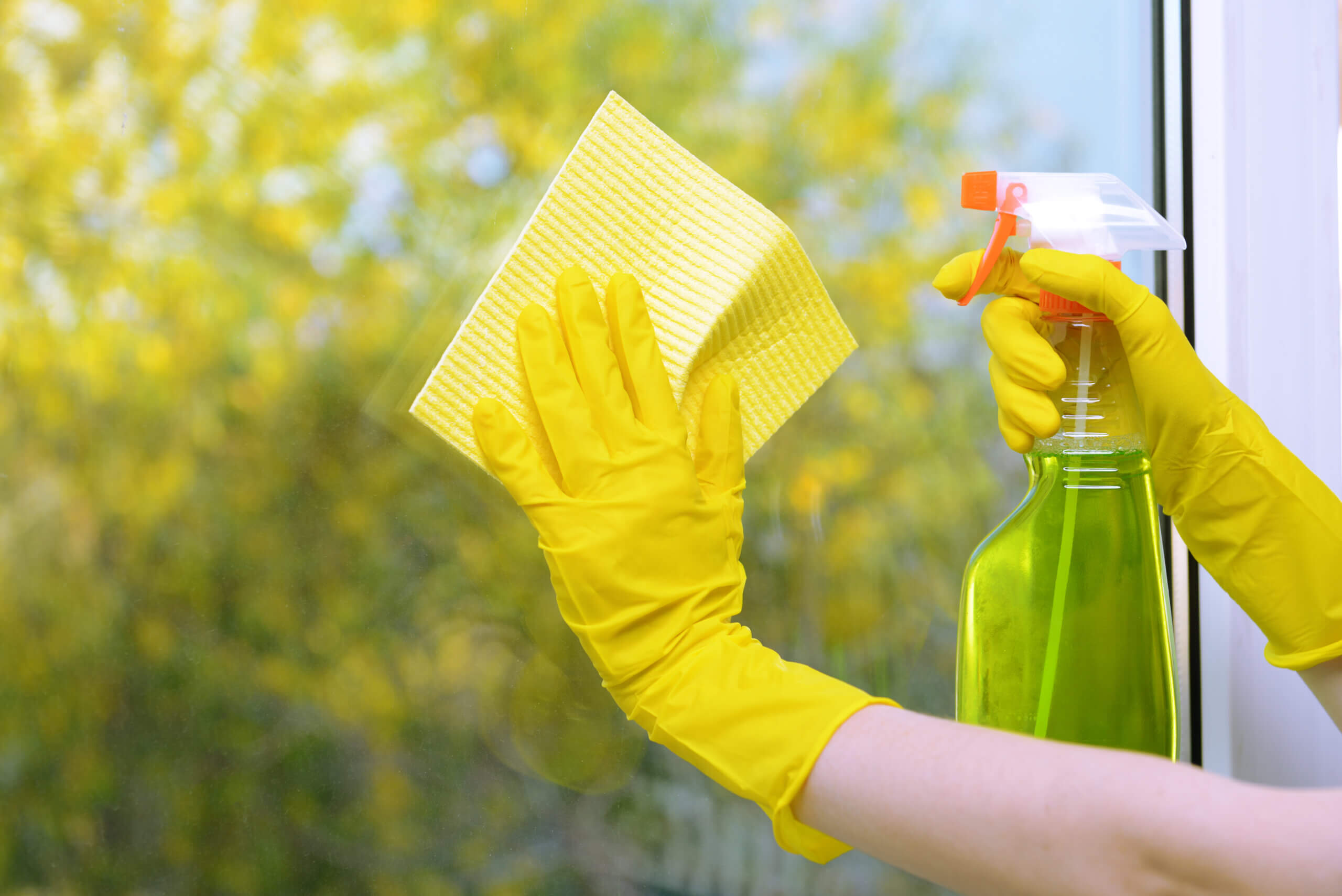 Window Cleaning Schedule