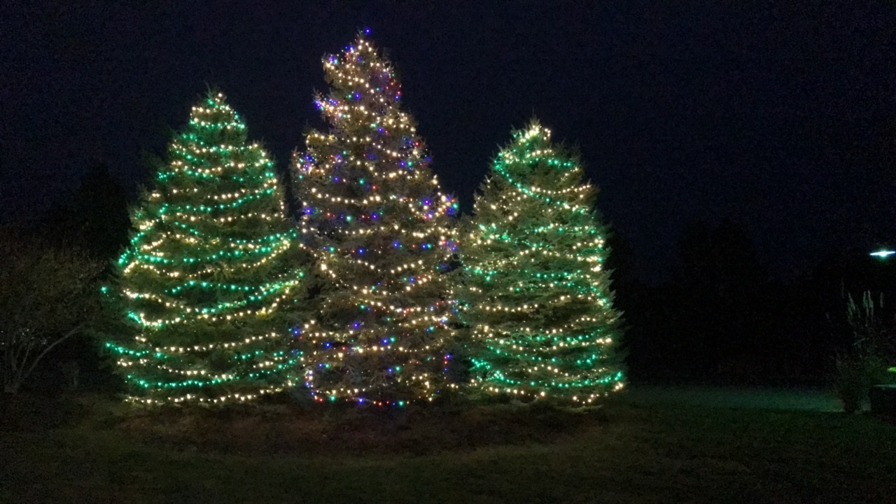 Holiday Lighting Holiday Lighting